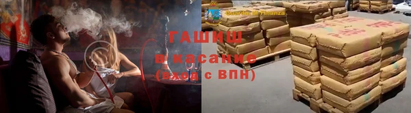сатива Магадан