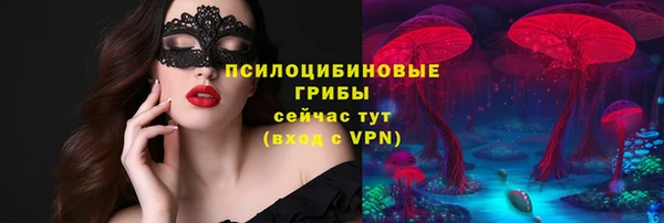 гашик Магас