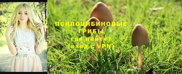 молекула духа Майский