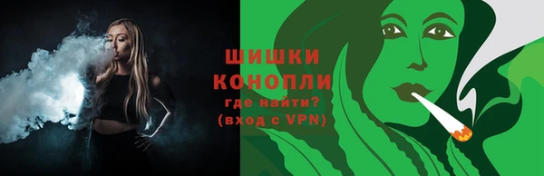 сатива Магадан