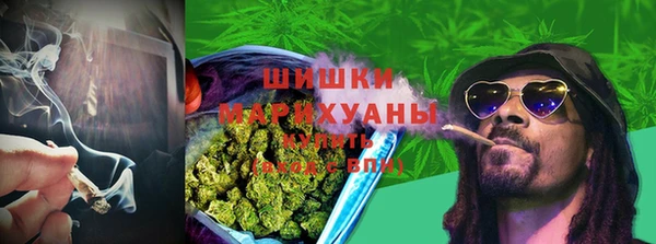 гашик Магас