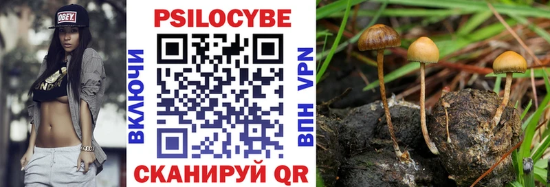 Галлюциногенные грибы Psilocybine cubensis закладки Щучье